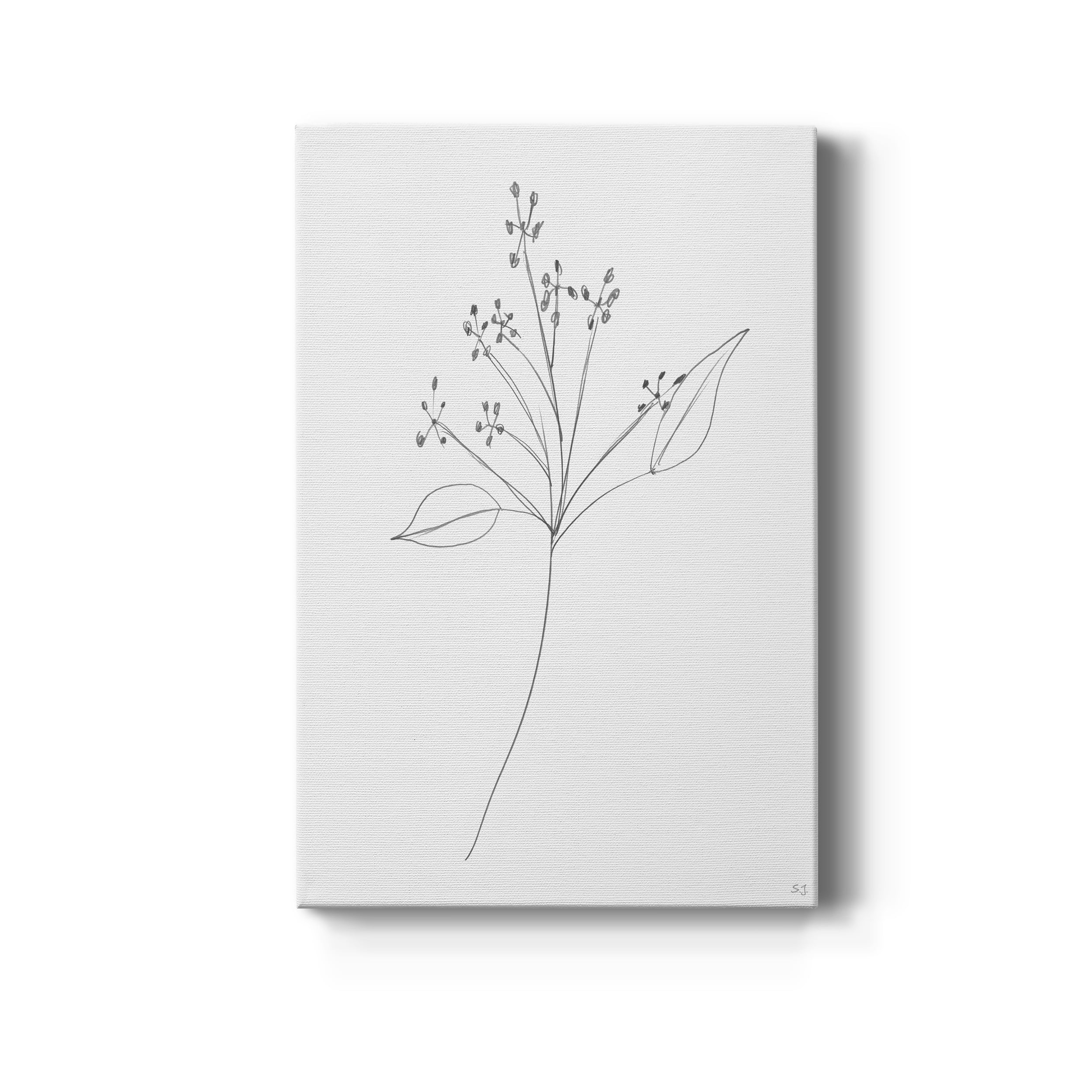 Botanical Gesture V Premium Gallery Wrapped Canvas - Ready to Hang - 24 x 36