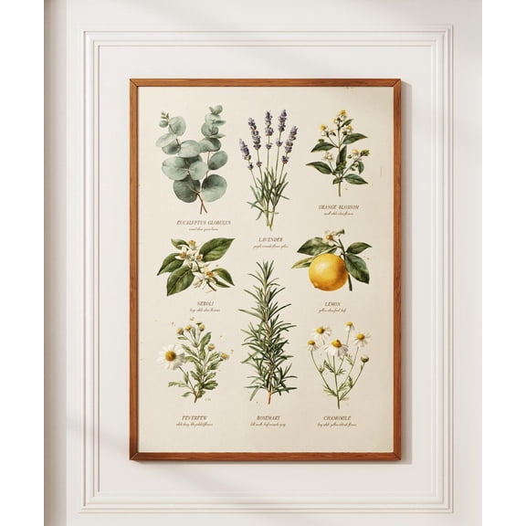 Botanical Herbarium Diffuser Blends Print, Unframed Paper Poster 8x10in