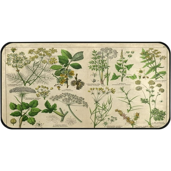 Botanical Herbs Plant Kitchen Rugs Bath Rug Runner Comfort Mat Non-Slip Doormats Carpet for Bathroom Indoor 30"x18"