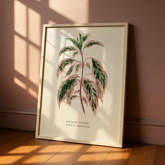 Botanical Hibiscus Leaf Poster Vintage Scientific Plant Illustration ...