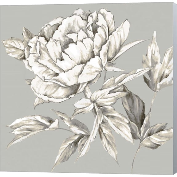 Botanical III by Eva Watts, Canvas Wall Art