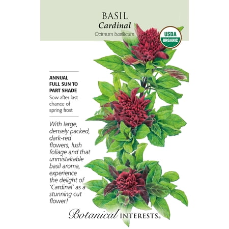 Botanical Interests Organic Cardinal Basil 30 Seeds, Richly Colored Blooms and Robust Flavor price history and forecast - Botanical Interests