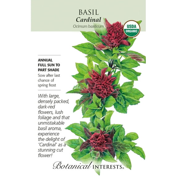 Botanical Interests Organic Cardinal Basil 30 Seeds, Richly Colored Blooms and Robust Flavor