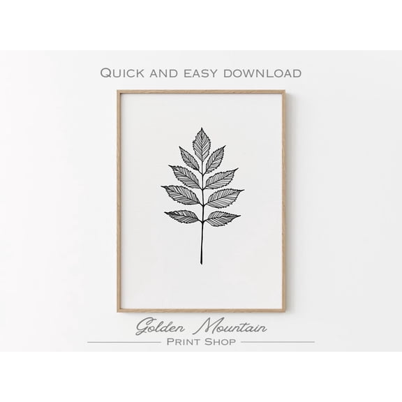 Botanical Leaf Line Art poster, Minimalist Nature Wall Art, Black and White, Modern Plant Autumn Decor, Fall Unframed Paper Print
