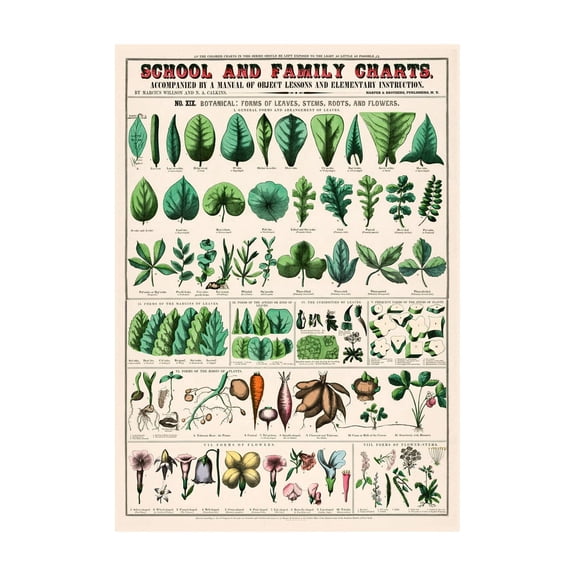 Botanical Leaves Vintage Print, Unframed Paper Poster 8x10in