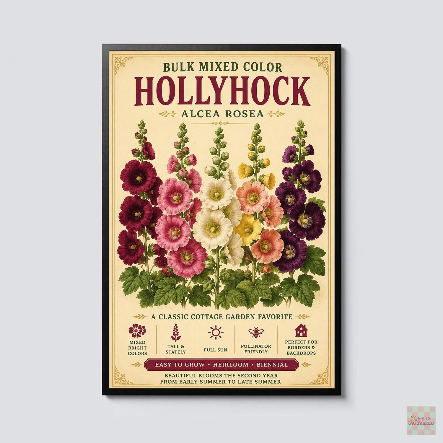 Botanical Mixed Color Hollyhock Vintage Alcea Rosea Cottage Garden ...