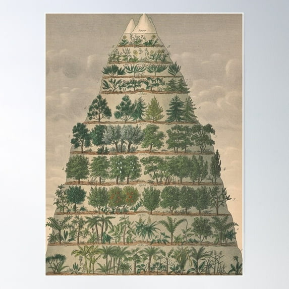 Botanical Mountain Poster Wall Art, Modern Wall Decor For Living Room Bedroom, 24x36 UNFRAMED