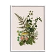 thumbnail image 1 of Botanical Nature Mushroom Sprigs Botanical & Floral Graphic Art White Framed Art Print Wall Art, 1 of 7