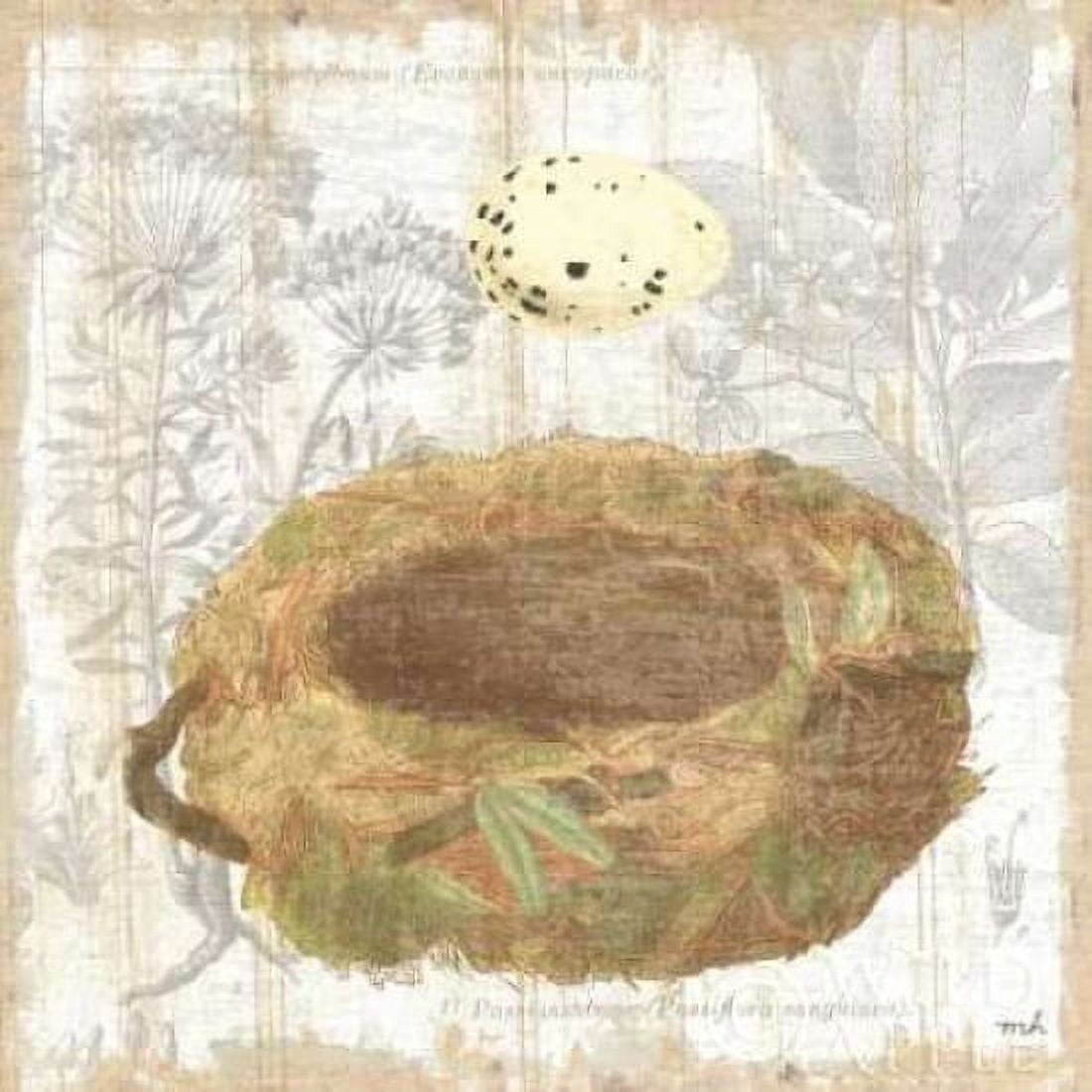 Botanical Nest I Canvas Art - Moira Hershey (24 x 24)