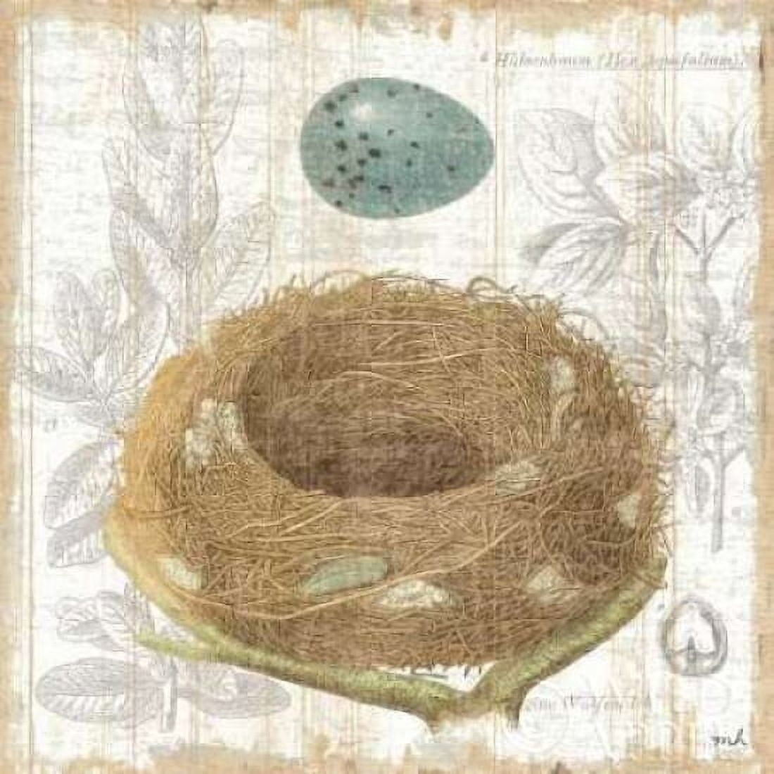 Botanical Nest III Canvas Art - Moira Hershey (24 x 24)