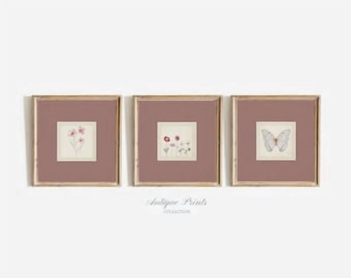 Botanical Neutral Square Sketch Butterfly Flower Drawing Mailed Poster ...