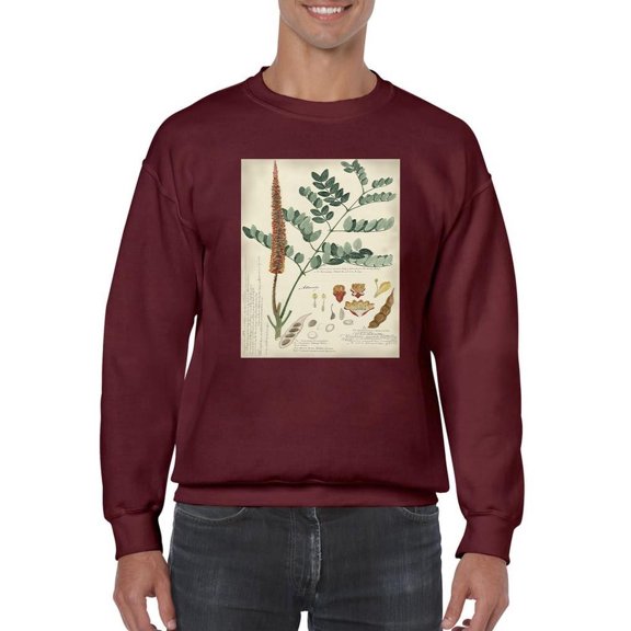 Botanical Notes And Drawings Sweatshirt Men -A. Descubes Designs, Male Small