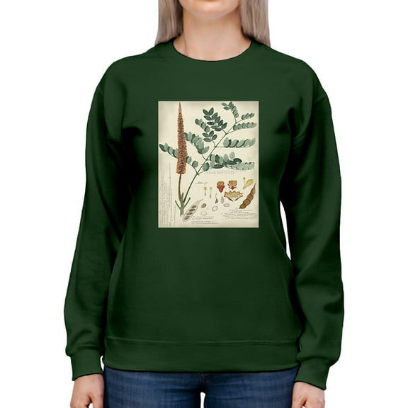 Botanical Notes And Drawings Sweatshirt Women -A. Descubes Designs, Female 3X-Large