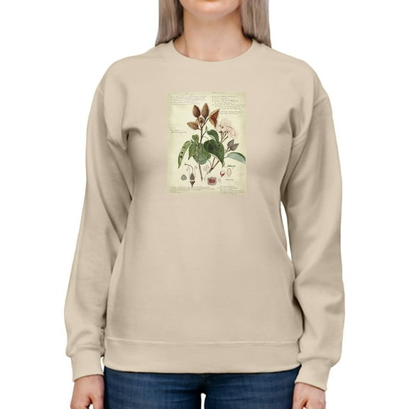 Botanical Notes Sweatshirt Women -A. Descubes Designs, Female Large