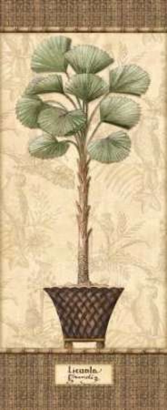 Botanical Palm I Canvas Art - Charlene Audrey (24 x 48)