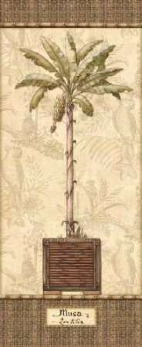 Botanical Palm IV Canvas Art - Charlene Audrey (10 x 20)