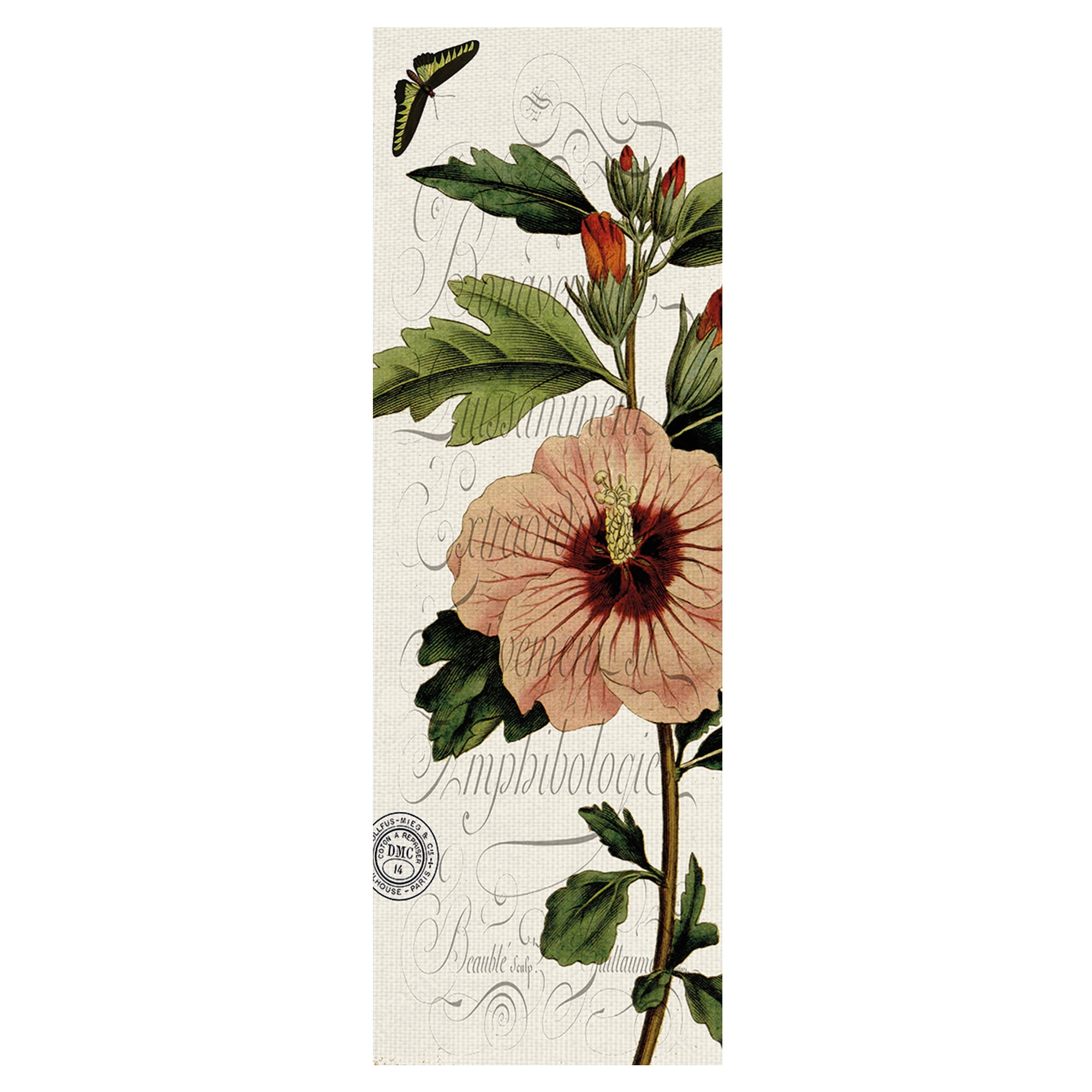 Botanical Panel II by Stephanie Monahan Wrapped Canvas Art Print