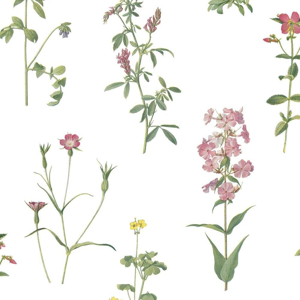 Green and Pink Floral Botanical Peel and Stick Wallpaper Roll