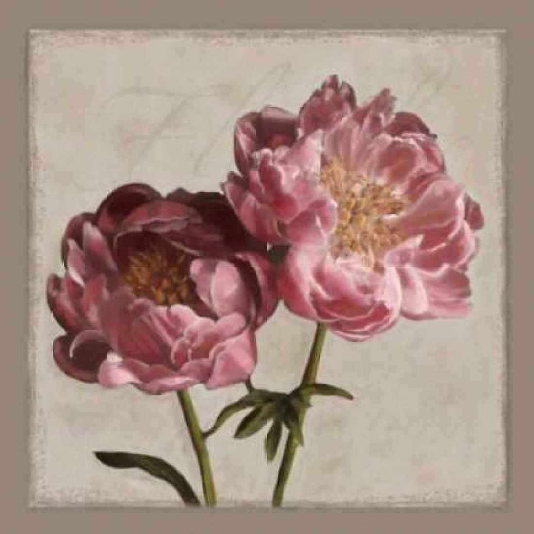 Botanical Peony Canvas Art - Janel Pahl (24 x 24)