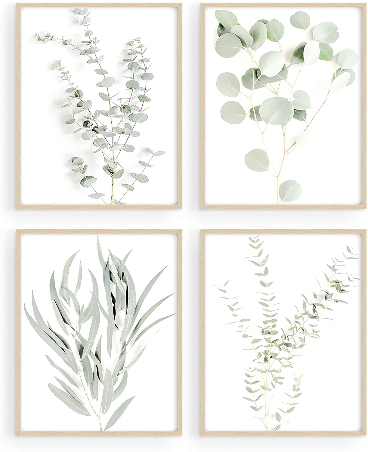 Botanical Plant Wall Art Prints - Set of 4 Plant Wall Decor Prints Floral Kitchen Flower Leaves Wall Art Boho Leaf Eucalyptus (UNFRAMED) (8x10)