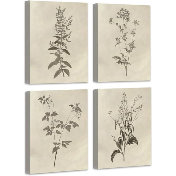 Botanical Plant Wall Art Vintage Flower Prints Boho Floral Artwork Decor Mid Century Modern Framed Wall Art for Bedroom Living Room Bathroom Home or Office 8"x10",Set of 4,framed