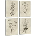 thumbnail image 1 of Botanical Plant Wall Art Vintage Flower Prints Boho Floral Artwork Decor Mid Century Modern Wall Art for Bedroom Living Room Bathroom Home or Office 8"x10",Set of 4,𝗙𝗿𝗮𝗺𝗲𝗱, 1 of 6