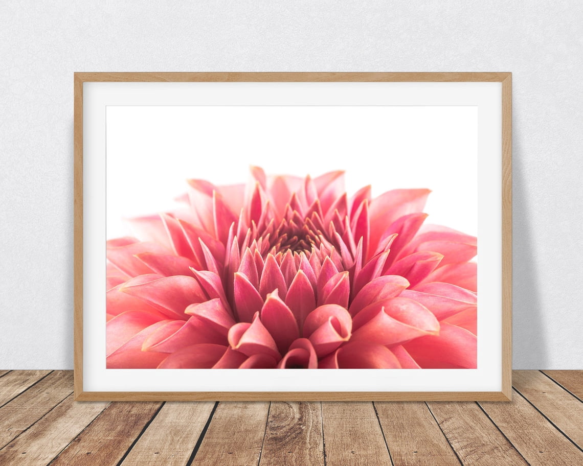 Botanical Print Pink Dahlia, Dahlia Picture Horizontal Wall Art, Flower ...
