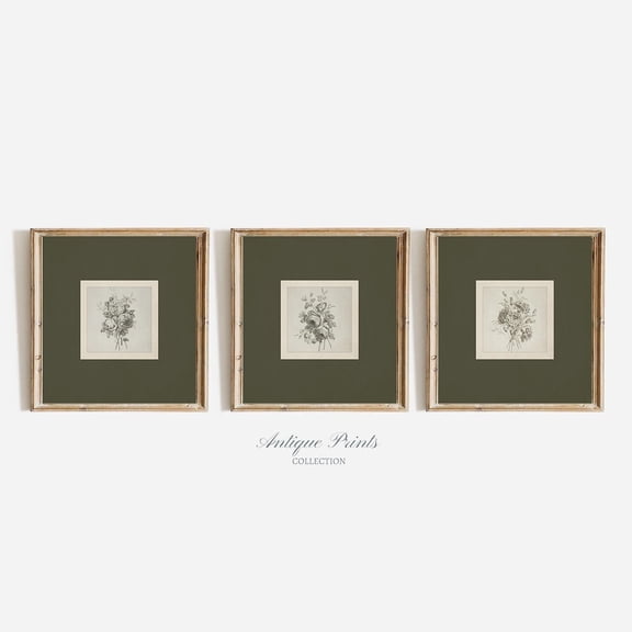Botanical Prints Vintage Floral Drawing Sketch Art Flower Drawing Wall Art Farmhouse Decor Set 3