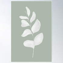 Botanical Sage Green White Print By Zouzounio Art Poster Wall Art, Modern Wall Decor For Living Room Bedroom, 8x12 UNFRAMED