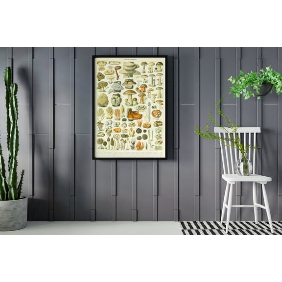 Botanical Science Adolphe Millot Mushroom Art Print Unframed Paper Poster 8x10in