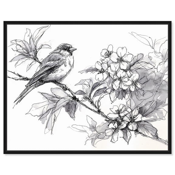 Botanical Sketch I Canvas Print Botanical Wall Art by Art Remedy, Black Frame, 20 x 16