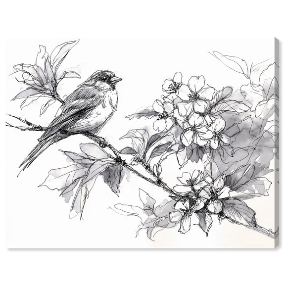 Botanical Sketch I Canvas Print Botanical Wall Art by Art Remedy, Gallery Wrapped, 20 x 16