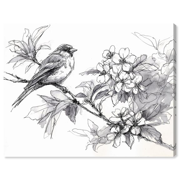 Botanical Sketch I Canvas Print Botanical Wall Art by Art Remedy, Gallery Wrapped, 30 x 24