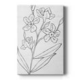 thumbnail image 1 of Botanical Sketch I Premium Gallery Wrapped Canvas - Ready to Hang, 1 of 9