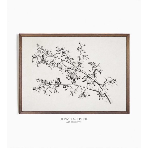 Botanical Sketch Minimalist Plant Branch