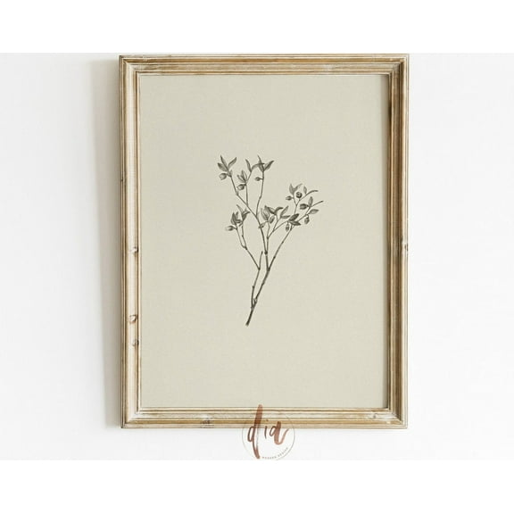 Botanical Sketch, Vintage Minimal Drawing, Antique Leaf Sketch, Vintage Line Art, French Country Farmhouse Decor Wall Art, Modern Wall Decor, 16x24 UNFRAMED