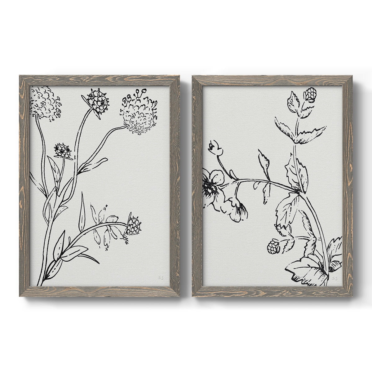 Botanical Study I - Premium Framed Canvas 2 Piece Set - Ready to Hang