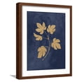 thumbnail image 1 of Art.com Botanical Study III Gold Navy Art Print by Julia Purinton, Brown Frame Wall Art, 17" x 21", 1 of 5