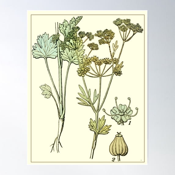 Botanical Study Plants Seeds Pastel Yellow Cream Blue Green Grouping In ...