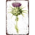 Botanical Thistle Fairy Metal Tin Sign Retro Kitchen Posters Prints