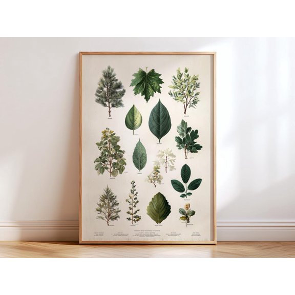Botanical Tree Leaves Poster with Vintage Nature Study Style Unframed Paper Print