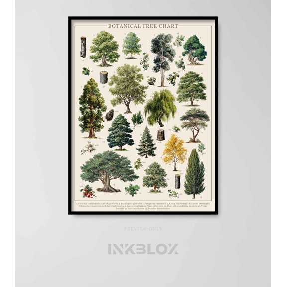 Botanical Tree Poster, Rustic Nature Wall Art, Unframed Paper Poster 8x10in
