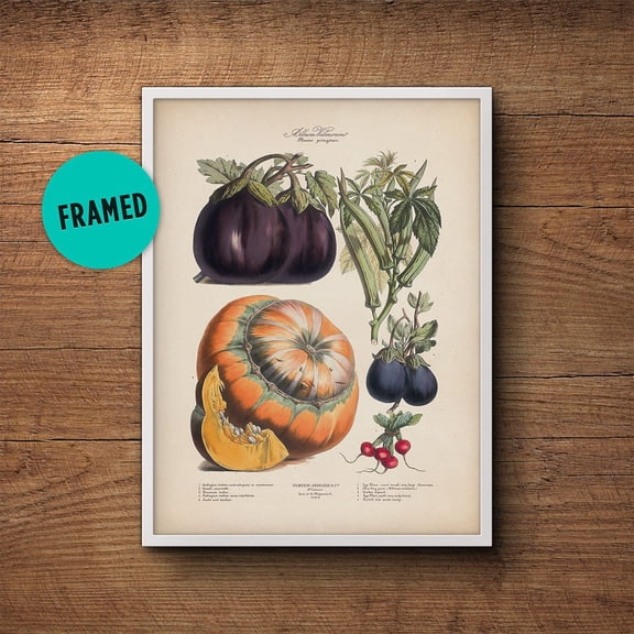 Botanical Vegetable Print, Unframed Paper Poster 8x10in