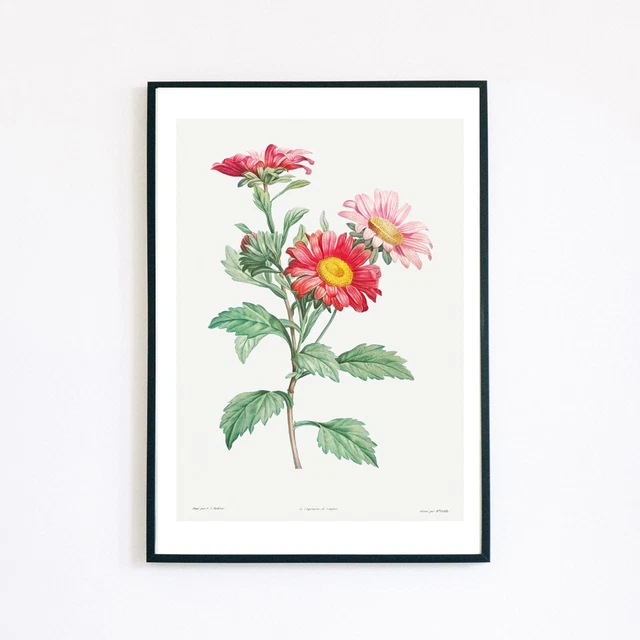 Botanical Vintage Flower Painting Illustration 7X5 Wall Decor Retro Art
