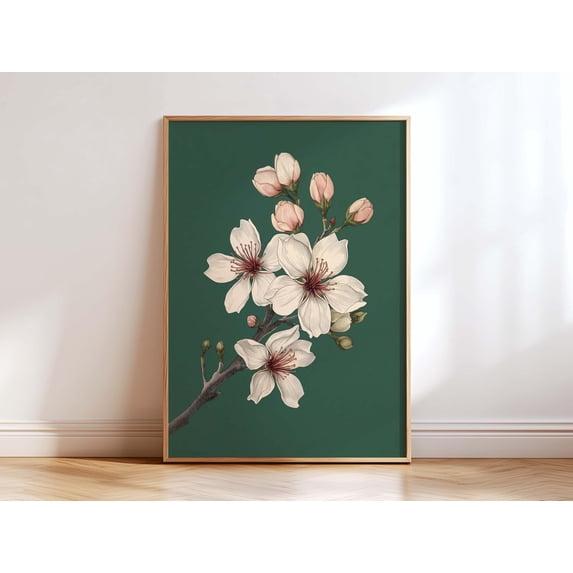Botanical Vintage Sakura Japanese Cherry Blossom Illustration Elegant ...