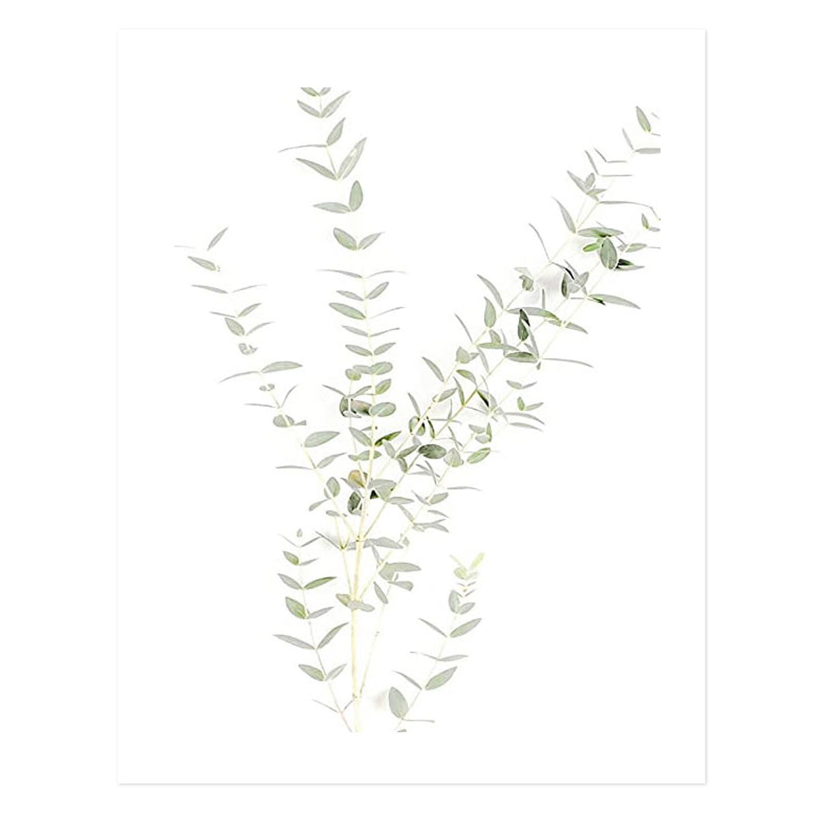 Botanical Wall Art Prints Wall Decor Prints Floral Kitchen Flower Leaves Wall Art Boho Leaf