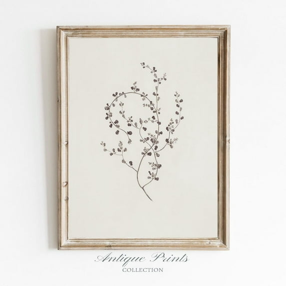Botanical Wall Art, Vintage Neutral Branch Drawing, Minimalist Neutral Floral Sketch Prints, Farmhouse Cottagecore Decor Poster, Stretched Canvas Size 8x12