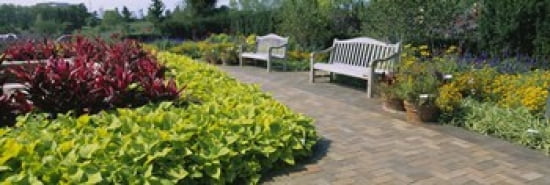 Botanical garden Circle Garden Chicago Botanic Garden Glencoe Cook County Forest Preserves Cook County Illinois USA Canvas Art - Panoramic Images (36 x 12)