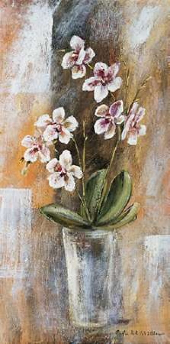 Botanical lV Canvas Art - Katharina Schottler (10 x 20)