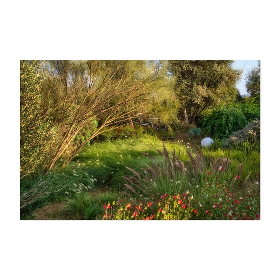 BotanicalDryGarden in Orbetello - Orbetello Tuscany Italy Photography Nature Botanical Floral Scenic Landscape Summer Unframed Wall Art Print 4 x 6 inches